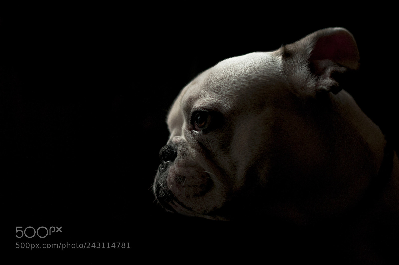 Nikon D300S sample photo. Agos photography