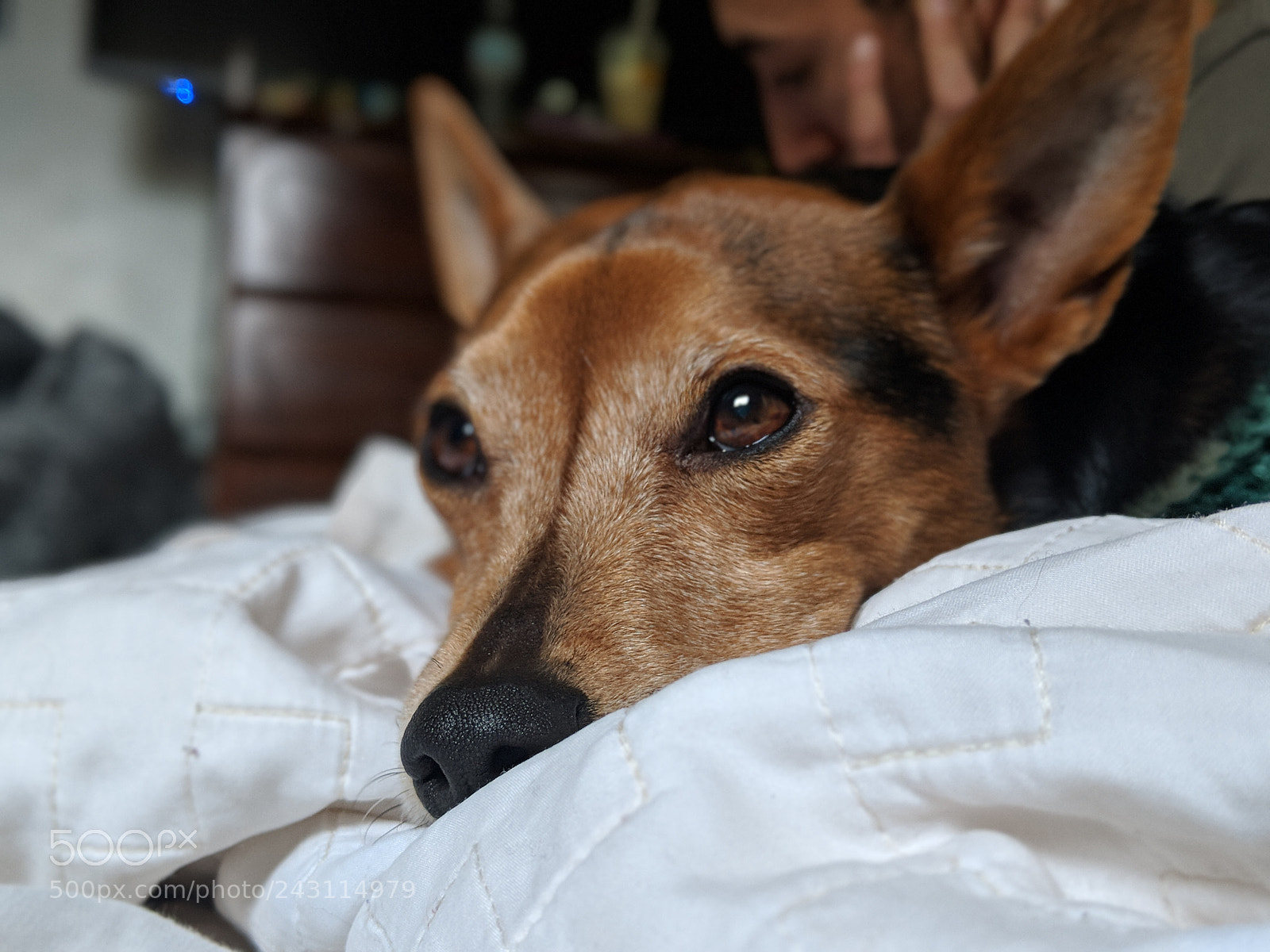Google Pixel 2 XL sample photo. Contemplation photography