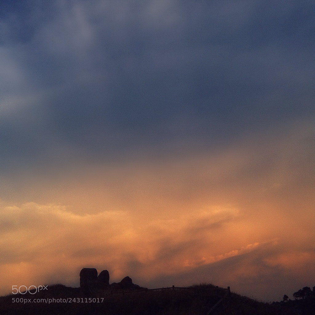 Apple iPhone 4 sample photo. T photography