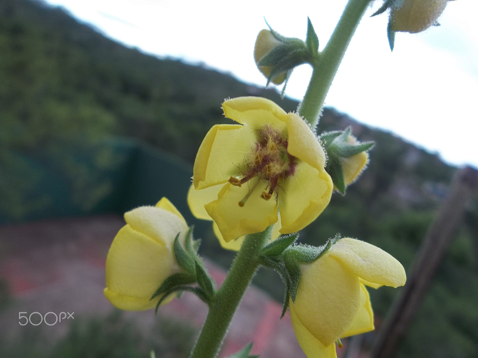 Kodak EASYSHARE CAMERA, M522 sample photo. * photography