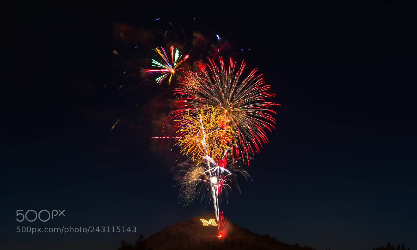 Nikon D4 sample photo. Night flowers photography