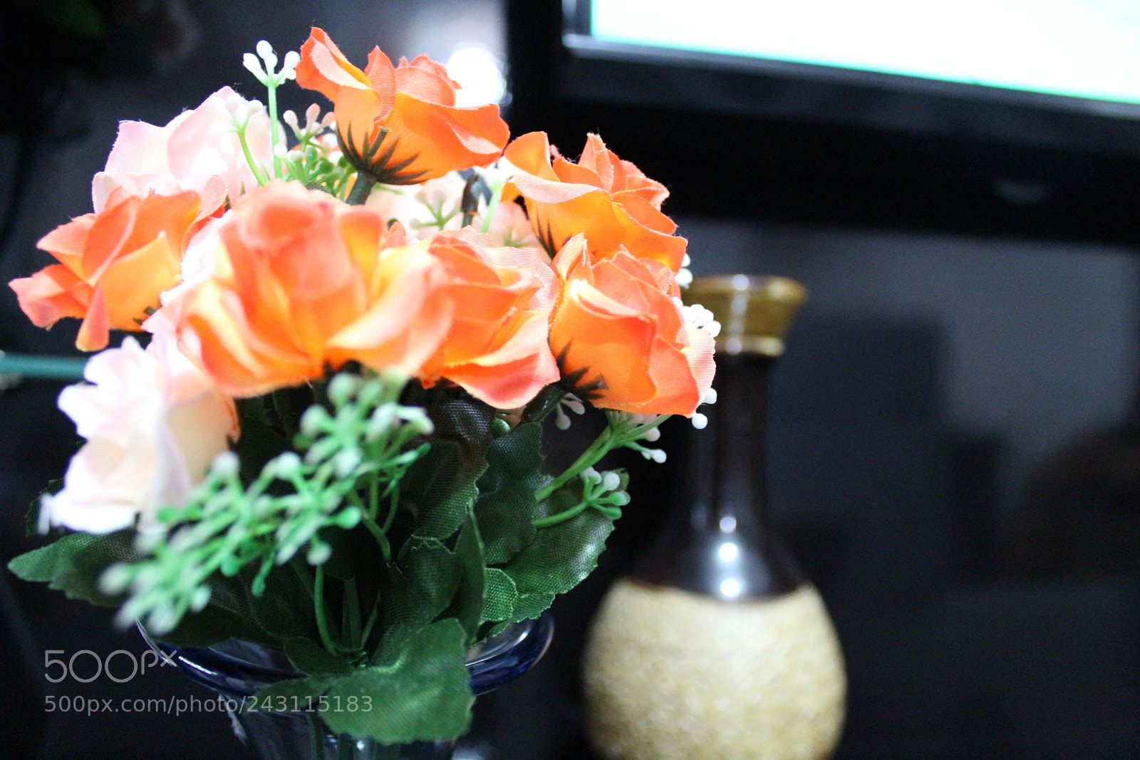 Canon EOS 1300D (EOS Rebel T6 / EOS Kiss X80) sample photo. Untitled photography