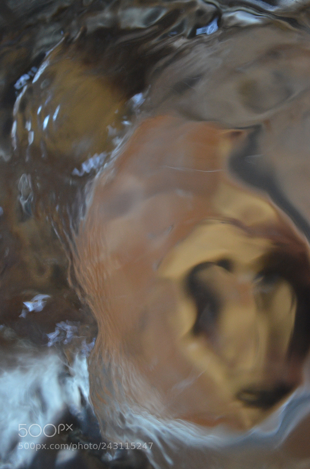 Nikon D5100 sample photo. Narcissus photography