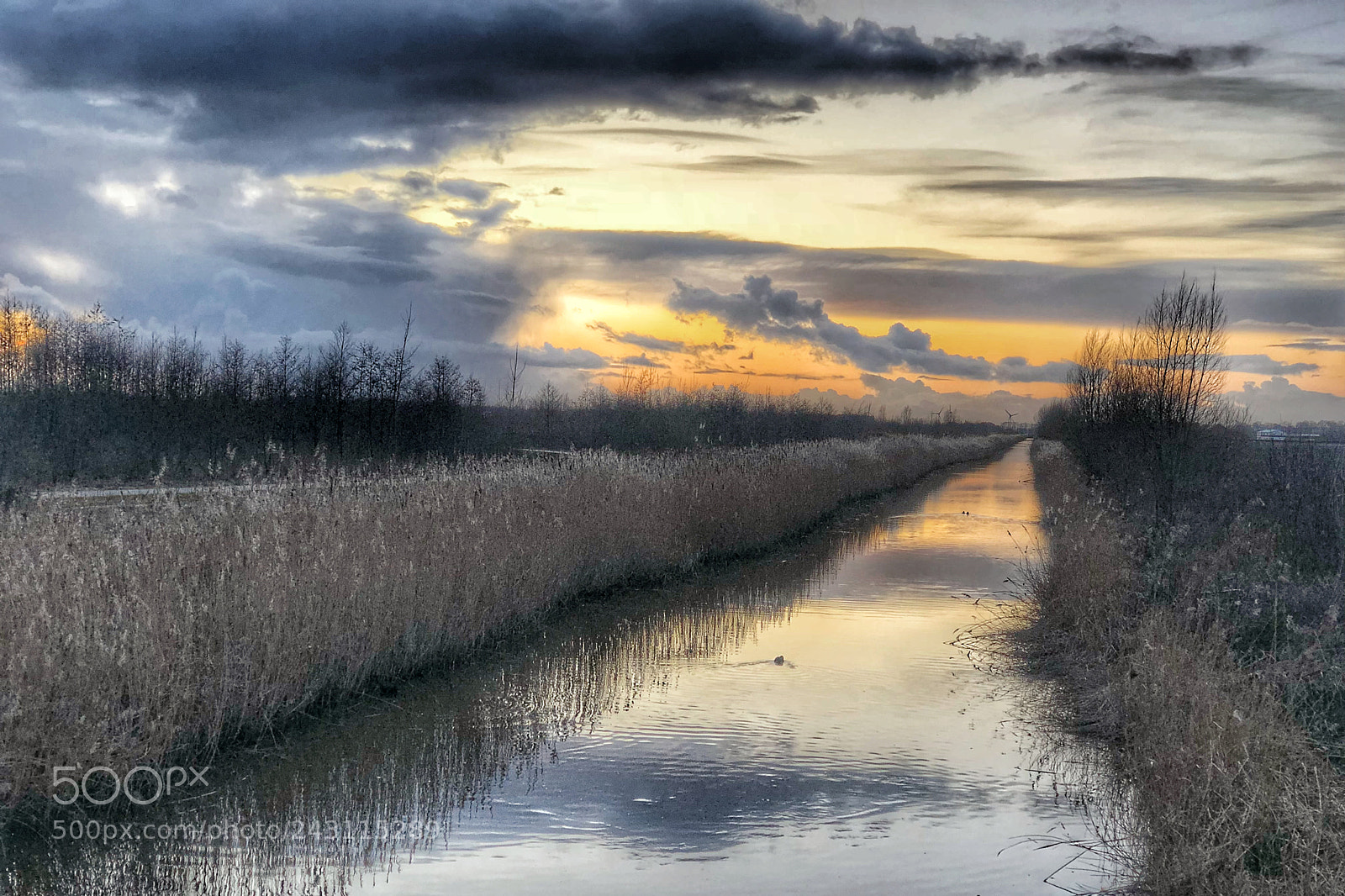 Apple iPhone X sample photo. Dutch sunset photography