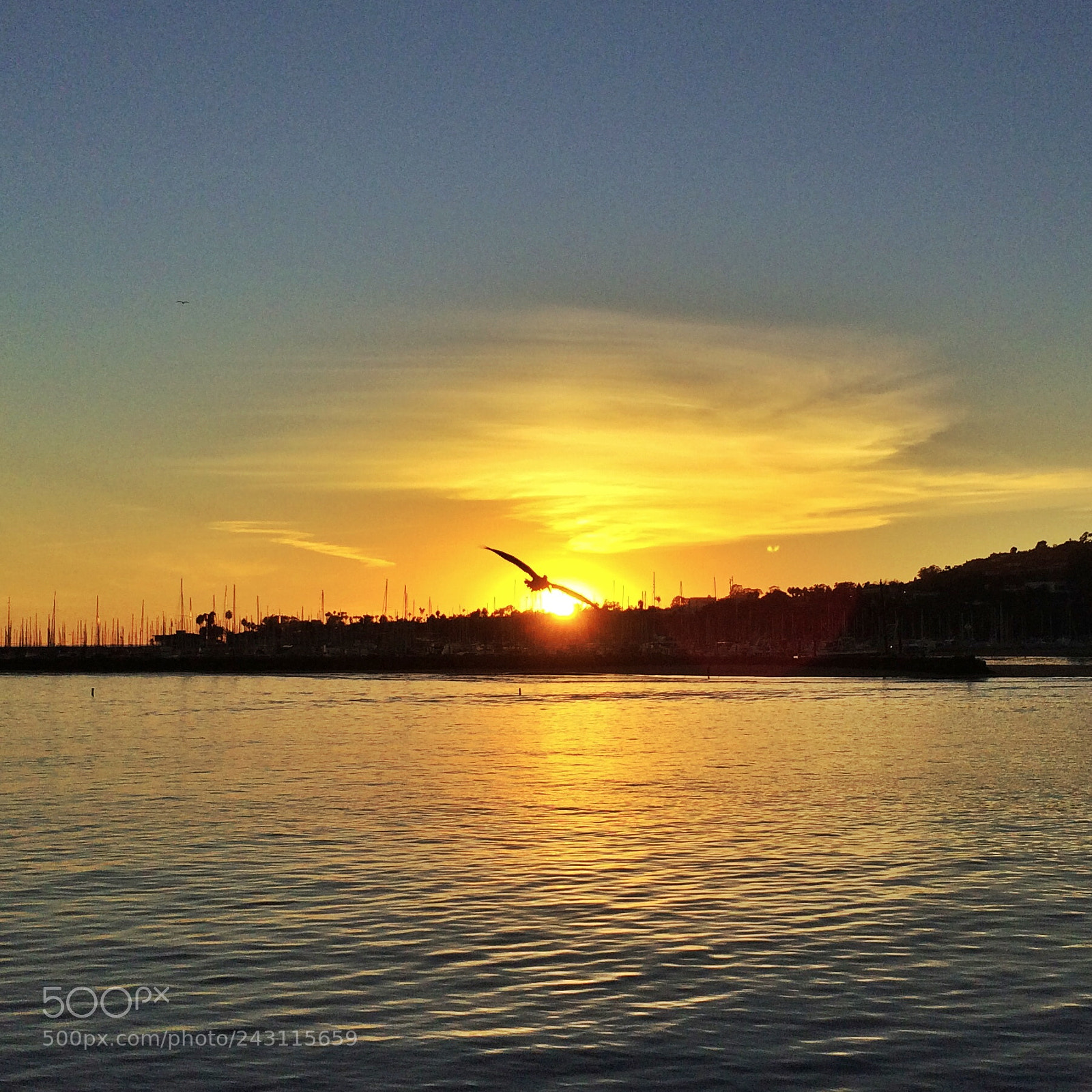 Apple iPhone 5s sample photo. Santa barbara photography
