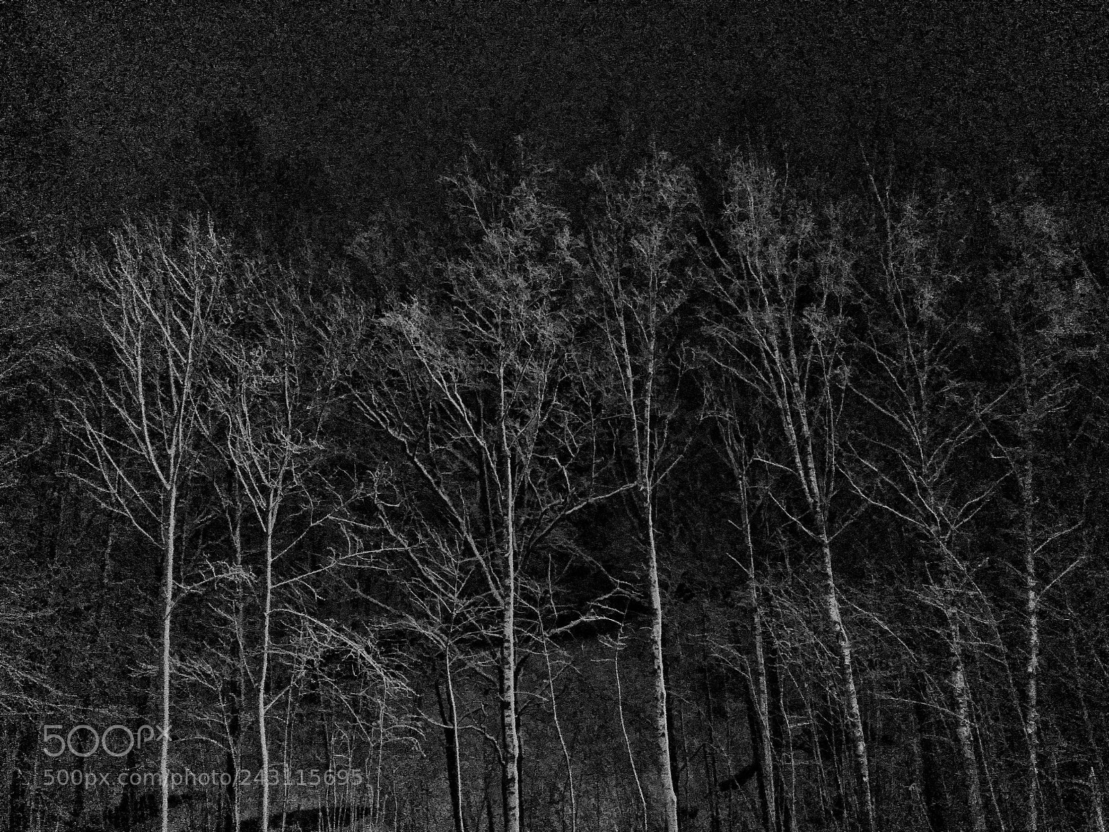 Samsung Galaxy S4 sample photo. Ut 617 photography