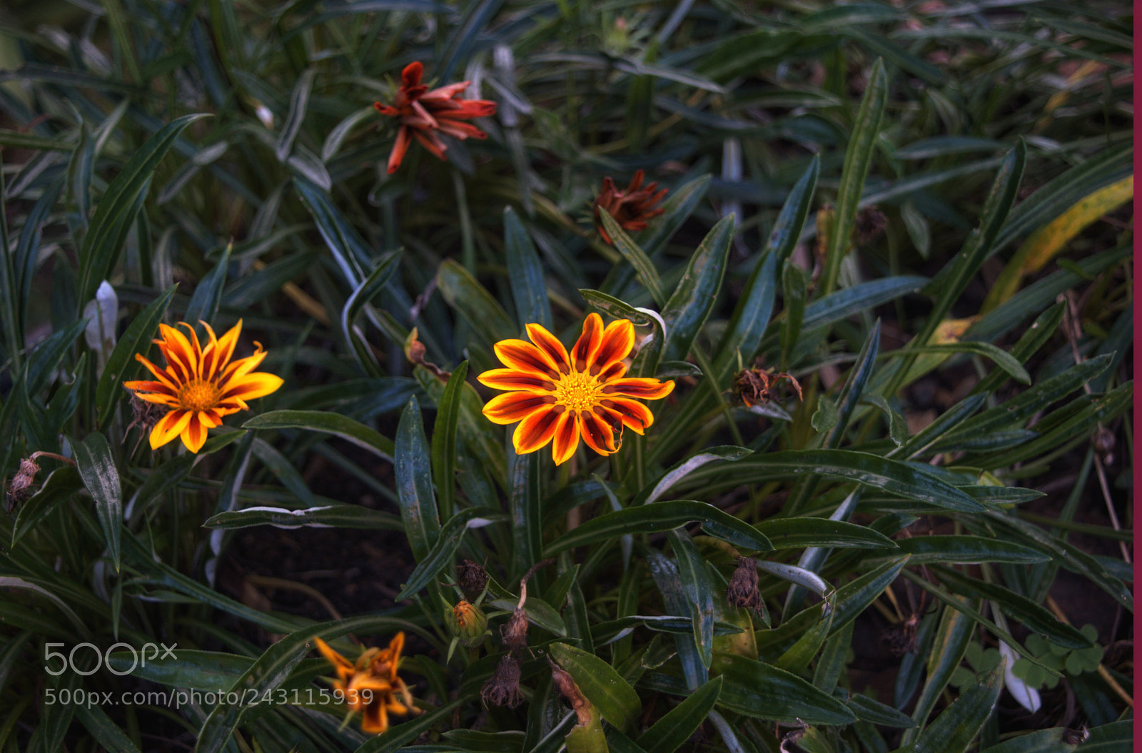 Nikon D3200 sample photo. Untitled photography