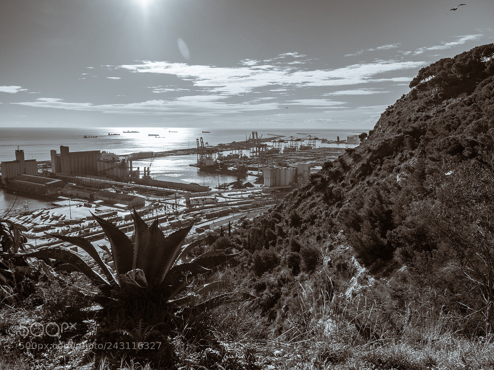 Olympus OM-D E-M5 II sample photo. Barcelona port photography