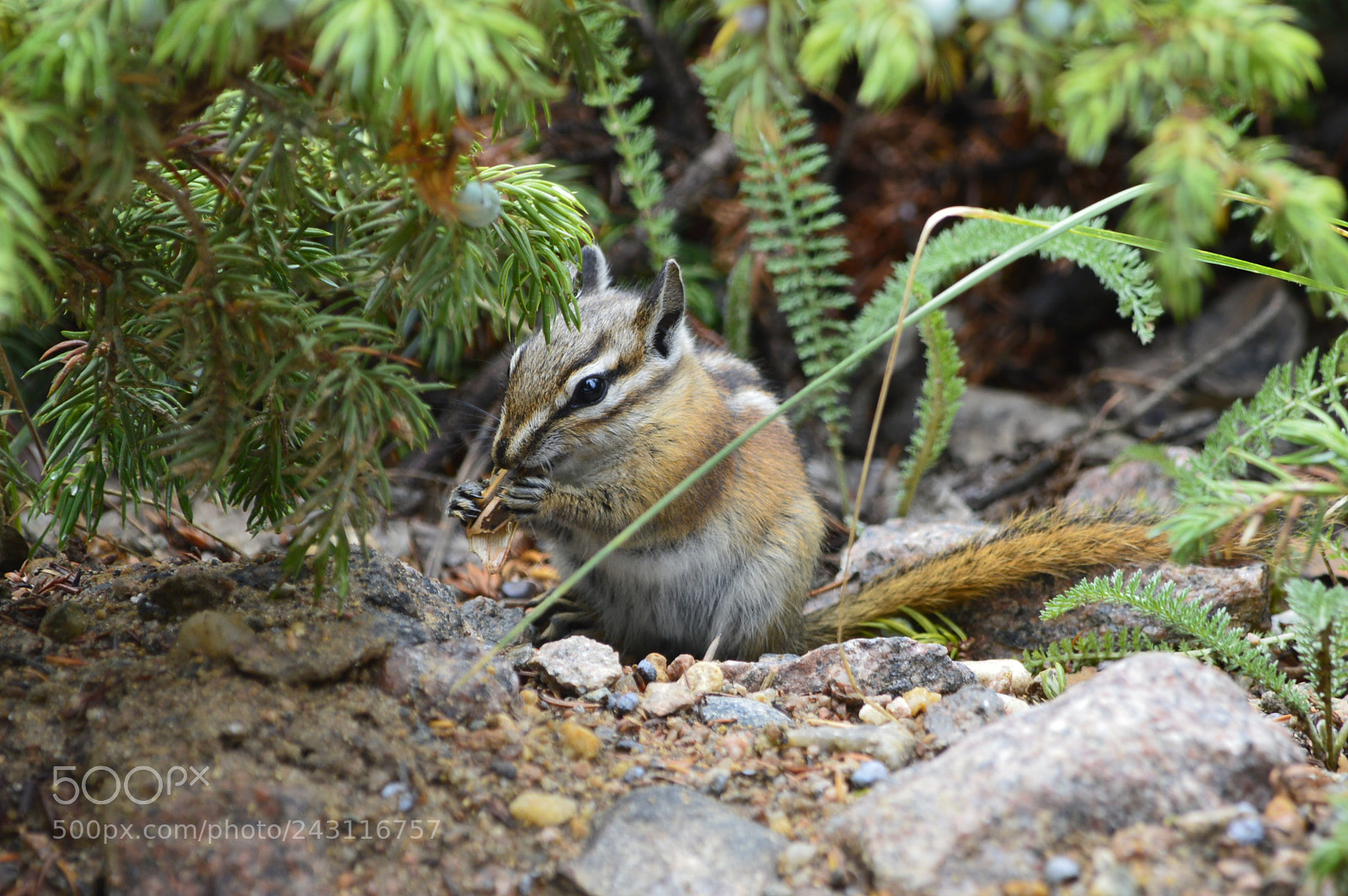 Nikon D3200 sample photo. Untitled photography