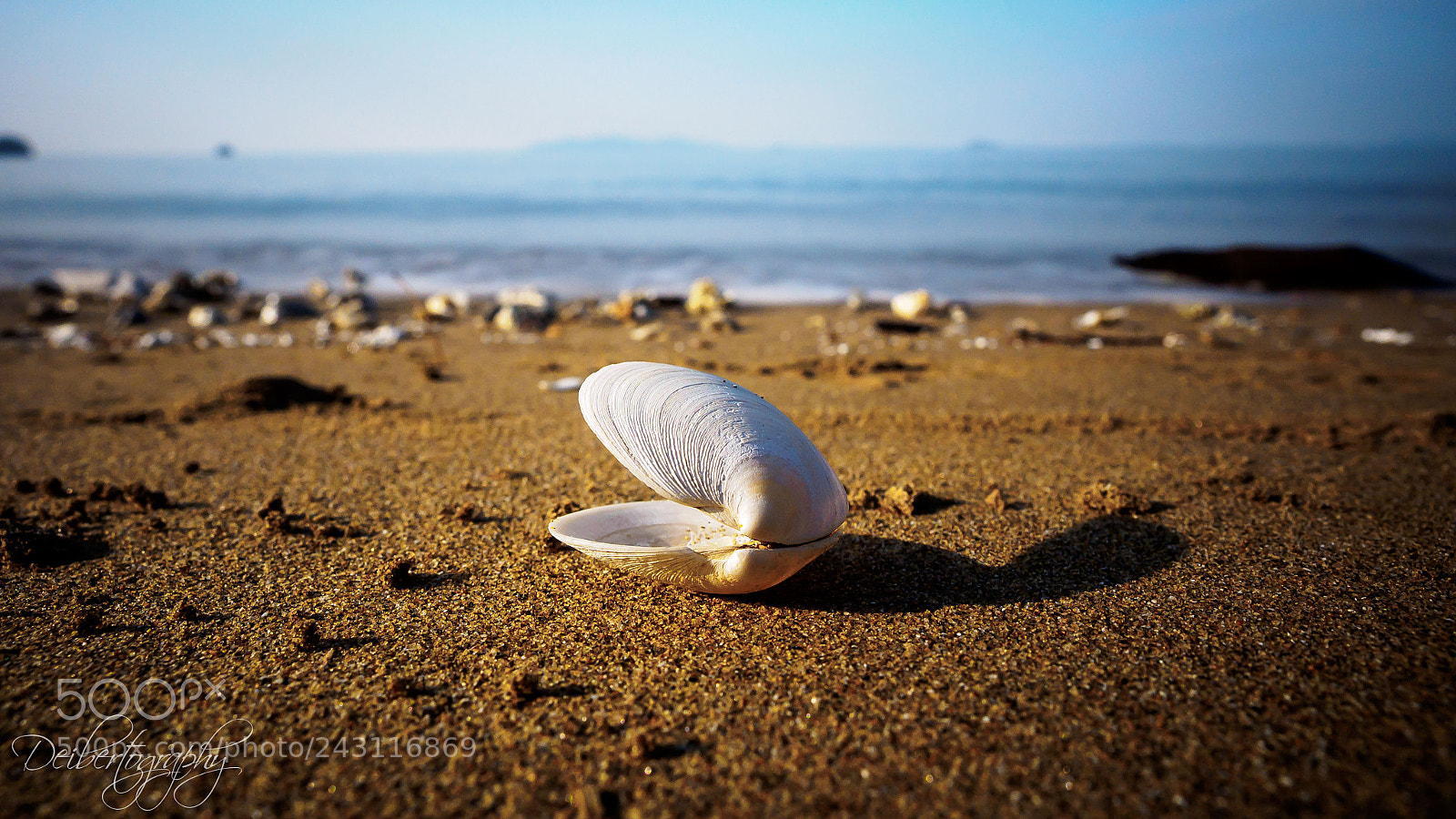 Olympus OM-D E-M1 sample photo. Longing for home photography