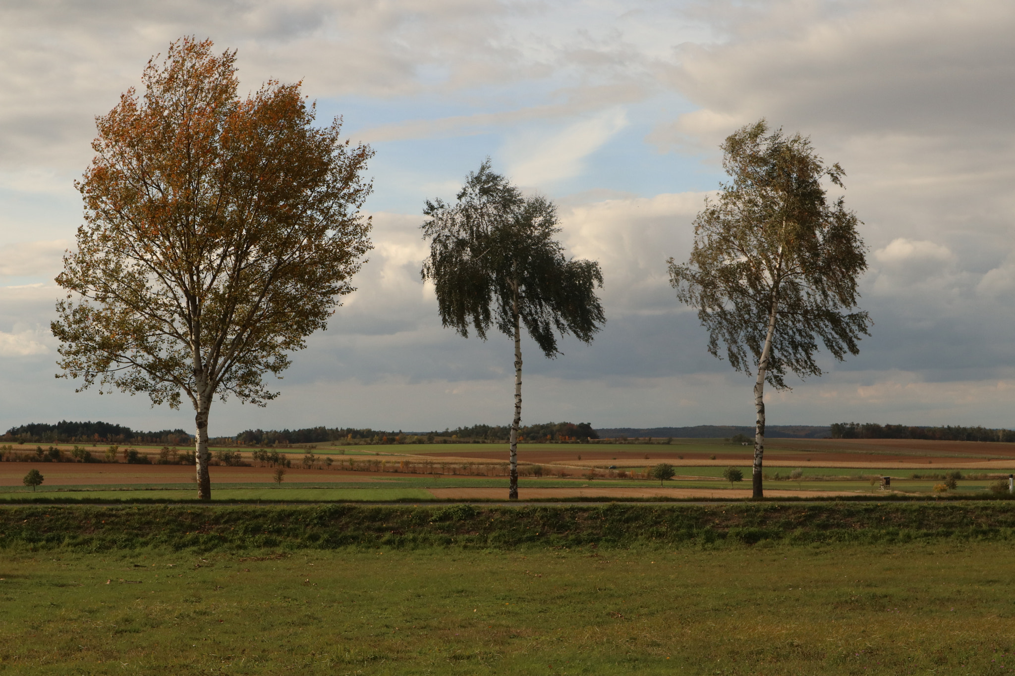 Canon EOS M5 sample photo. Three in the country photography