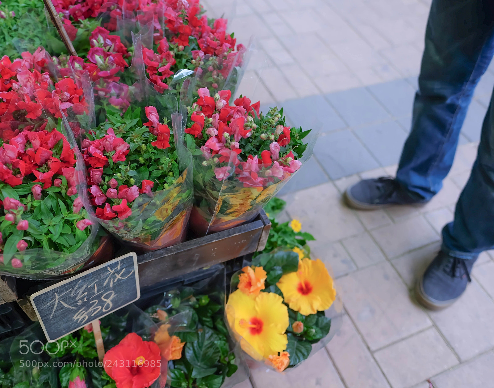 Fujifilm X-T10 sample photo. Flowers photography