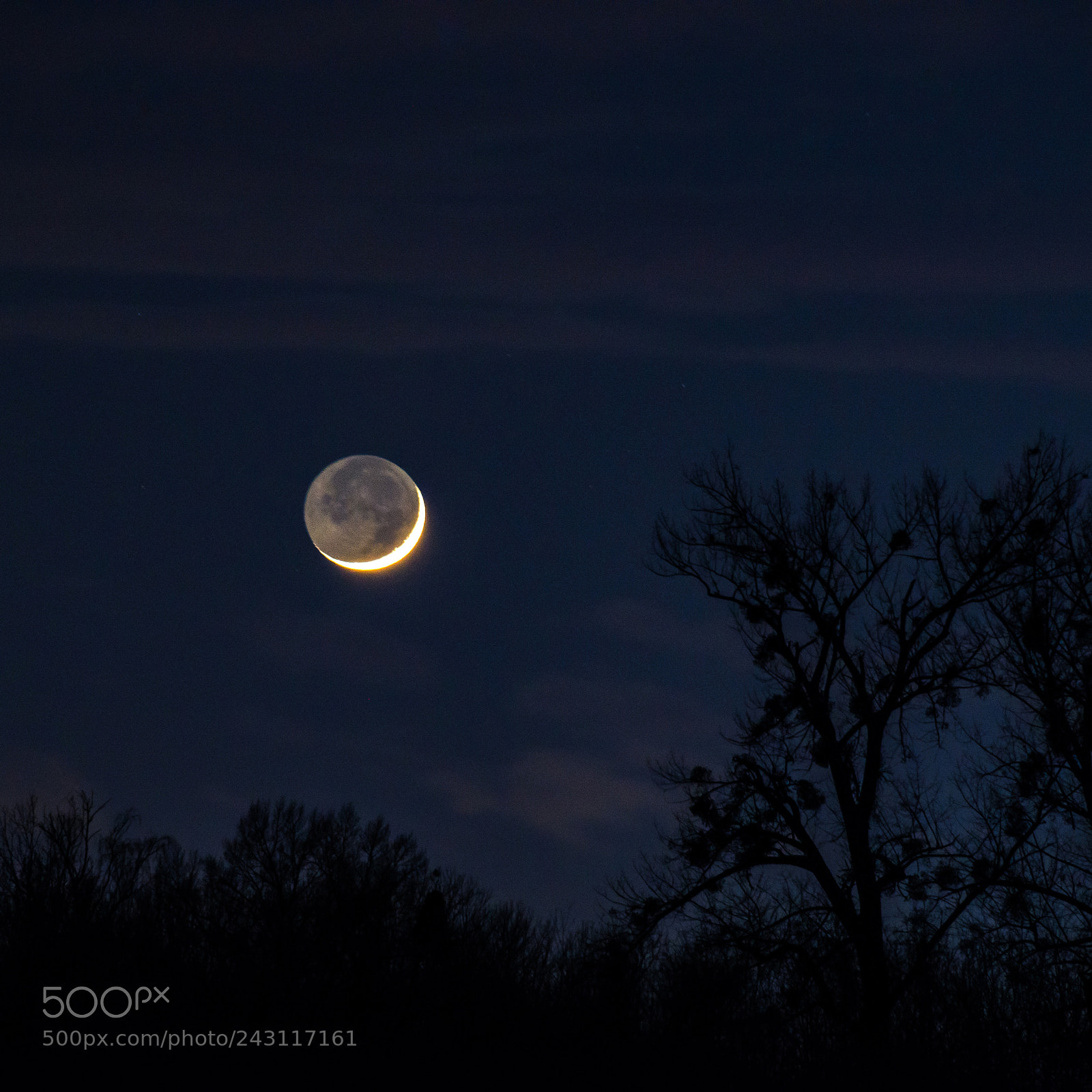 Nikon D610 sample photo. Todays crescent moon photography