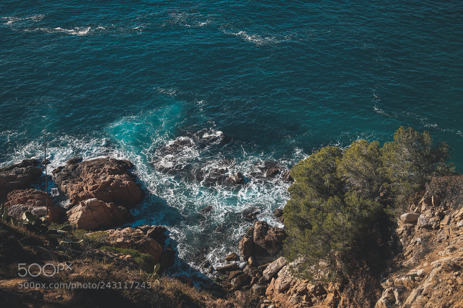 Canon EOS 77D (EOS 9000D / EOS 770D) sample photo. Tossa de mar photography