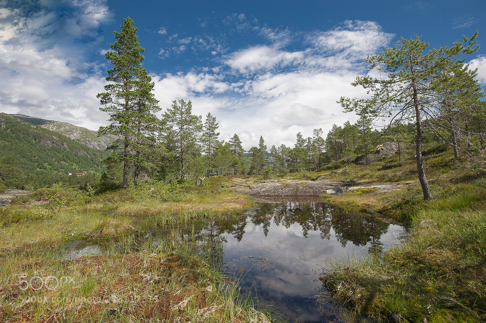 Nikon D700 sample photo. Reflections... part iii photography