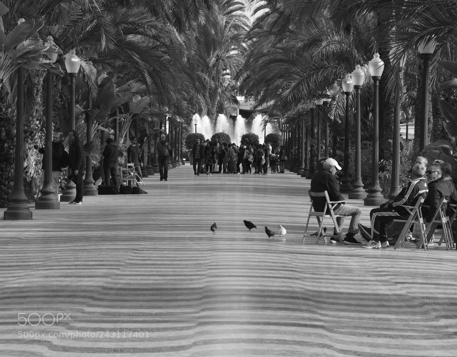 Nikon D3200 sample photo. Escena de la terreta photography