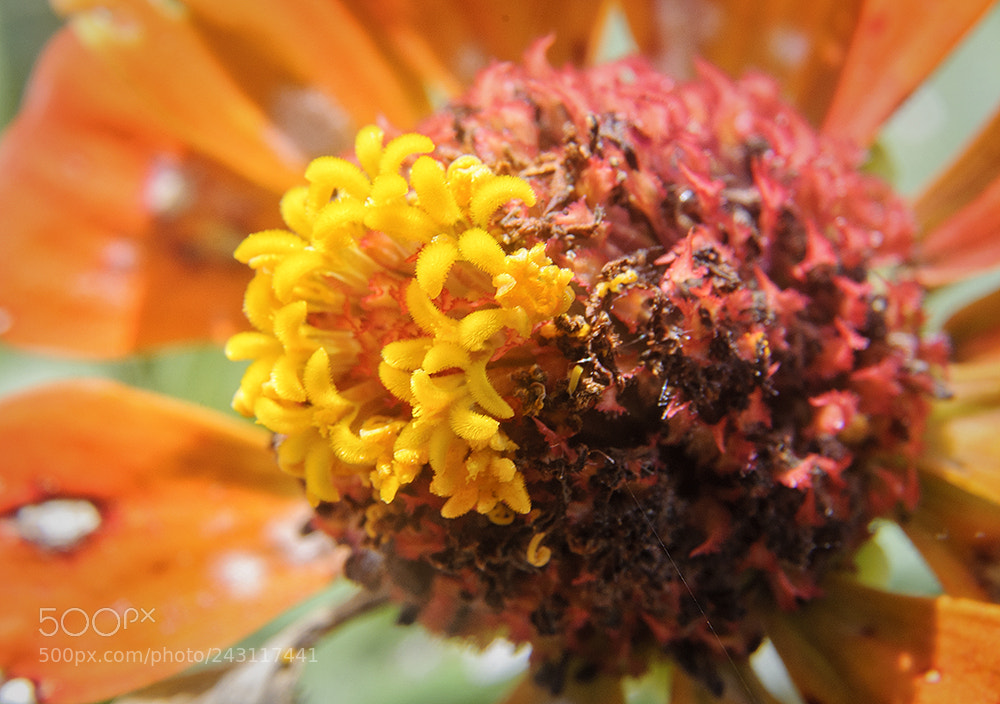 Nikon D90 sample photo. Untitled photography