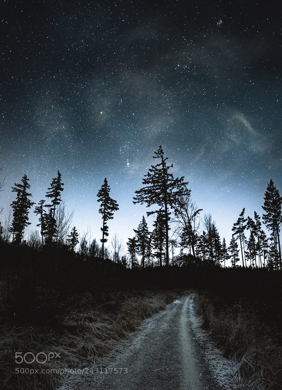 Nikon D500 sample photo. A cold night photography