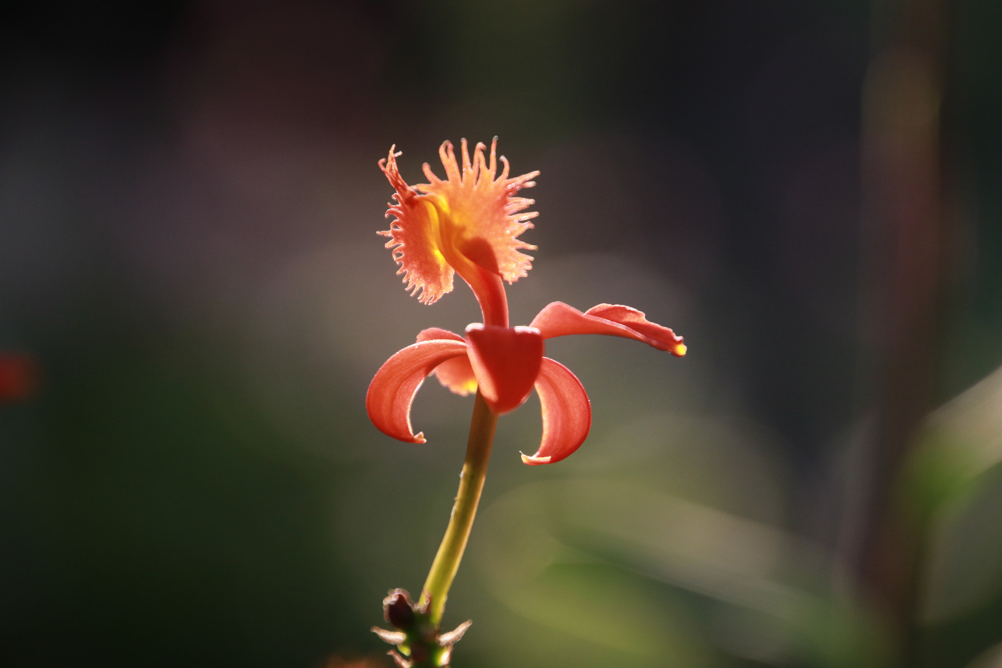 Canon EOS 7D Mark II sample photo. 53@2 photography
