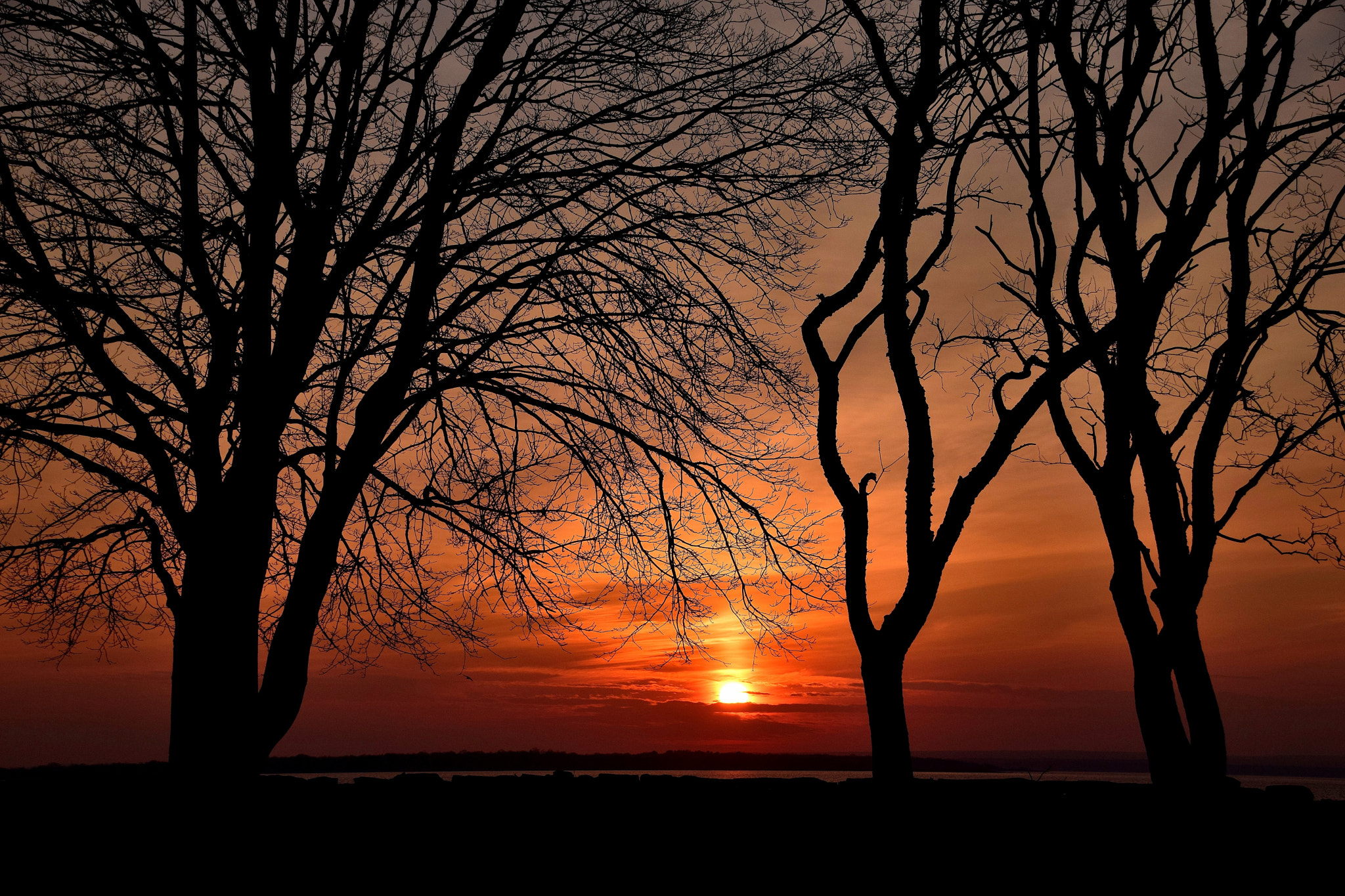 Sigma 18-250mm F3.5-6.3 DC Macro OS HSM sample photo. January sunset photography