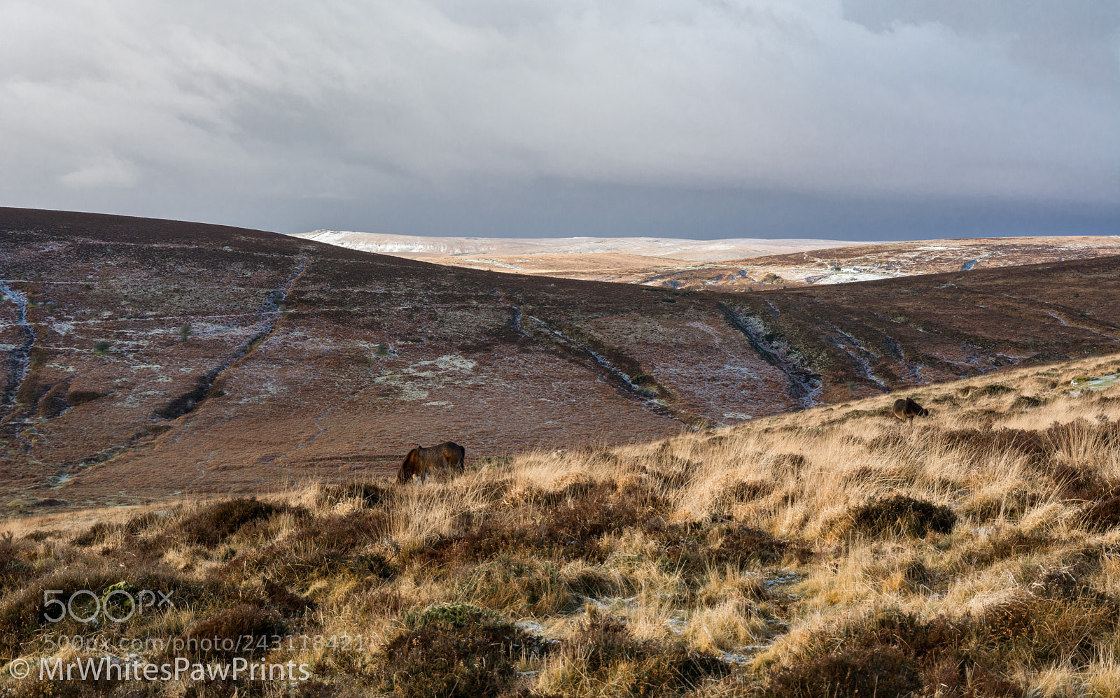 Nikon D7100 sample photo. Wintry dartmoor photography