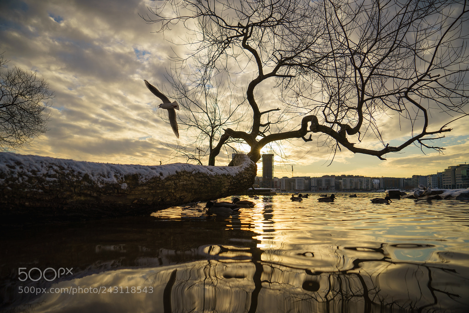 Sony a7 II sample photo. Jonathan livingston photography