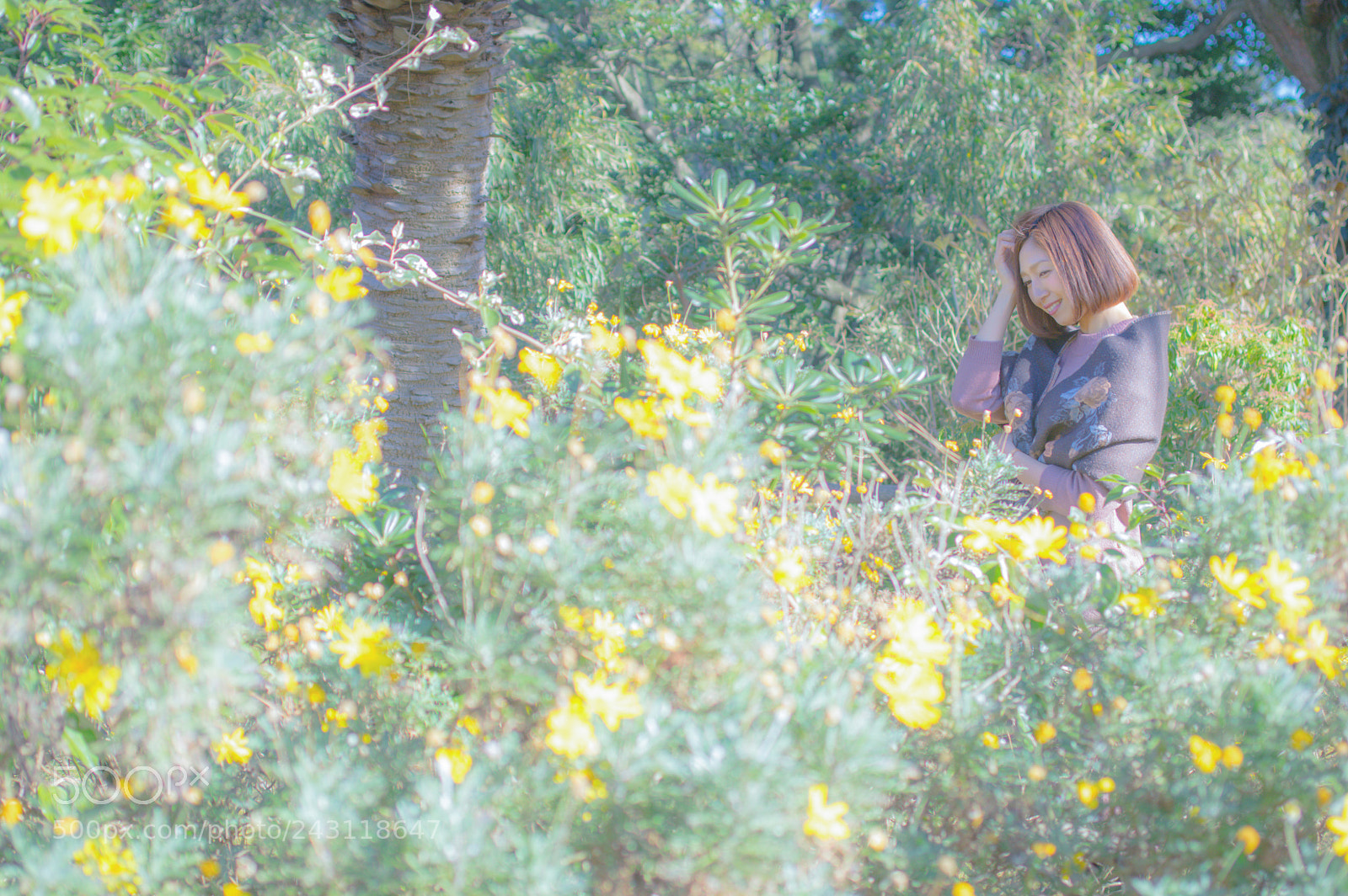 Pentax K-3 sample photo. 【life is cool.last】 photography