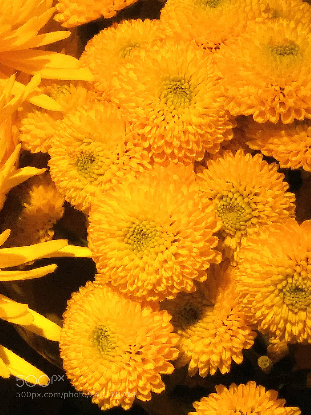 LG K20 PLUS sample photo. Untitled photography