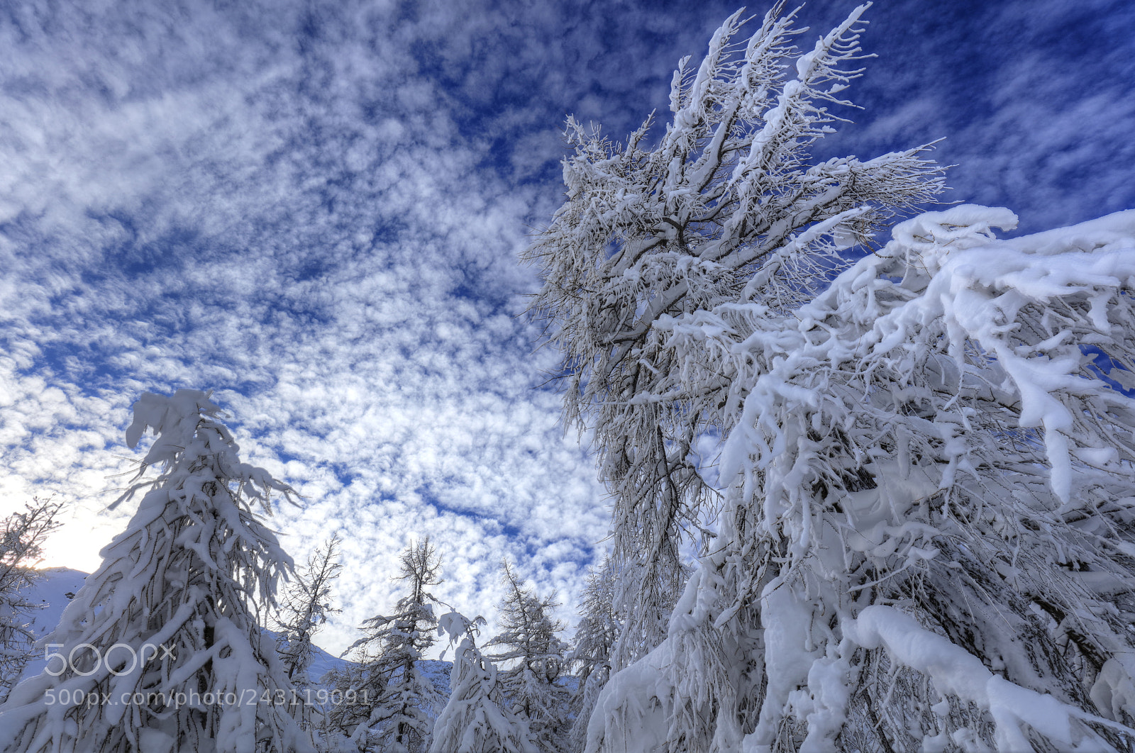Canon EOS 5DS R sample photo. Blue & white photography