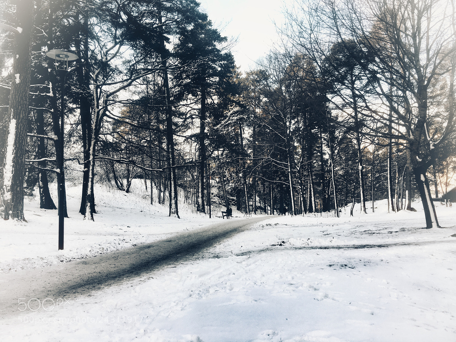 Apple iPhone 6s Plus sample photo. Sun & snow photography