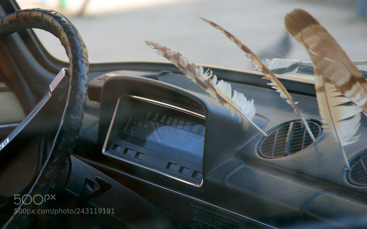 Canon EOS 20D sample photo. Backup engine photography