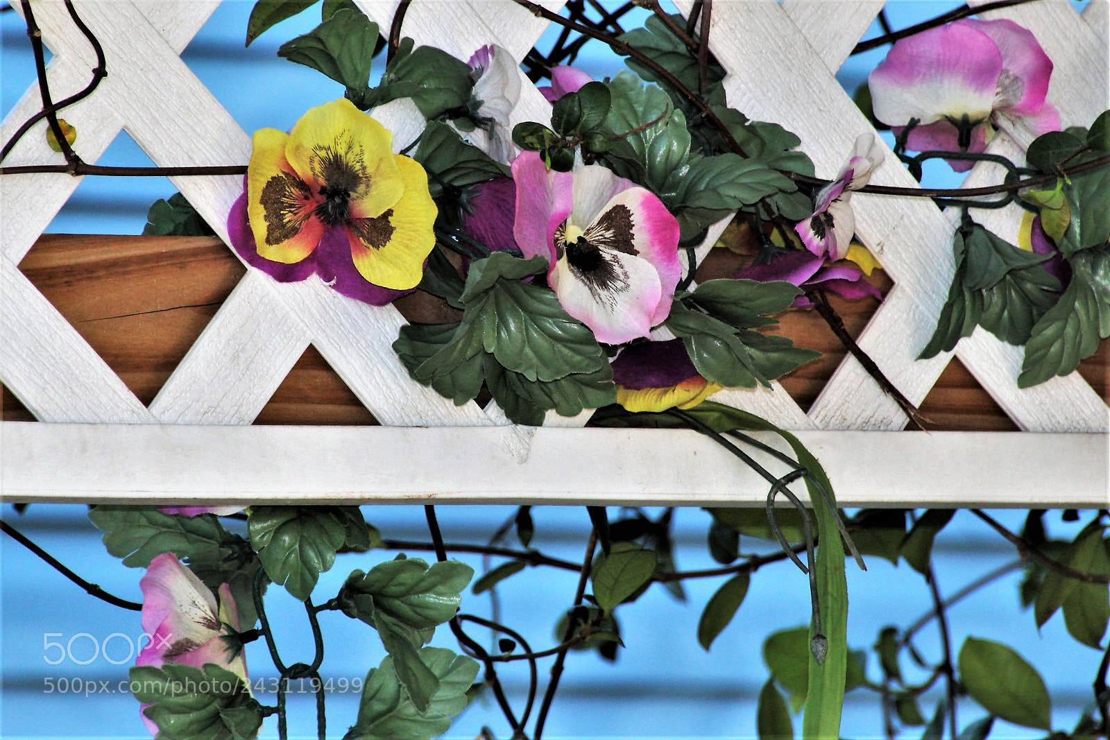 Canon EOS 1200D (EOS Rebel T5 / EOS Kiss X70 / EOS Hi) sample photo. Wishing for spring... photography