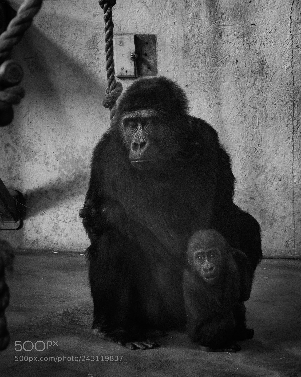 Olympus OM-D E-M10 II sample photo. Mother and baby photography
