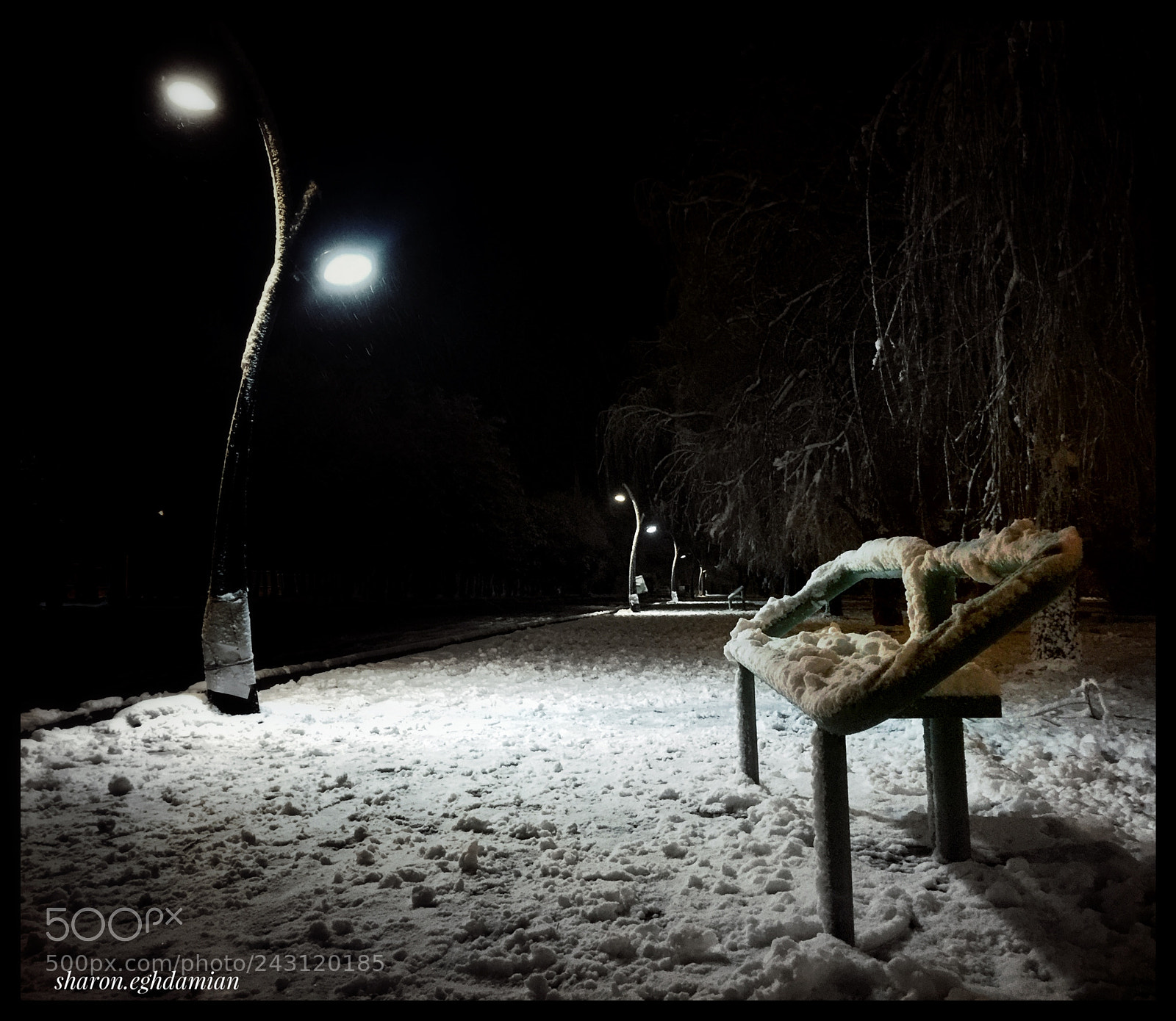 Apple iPhone 6 Plus sample photo. Alone bench photography
