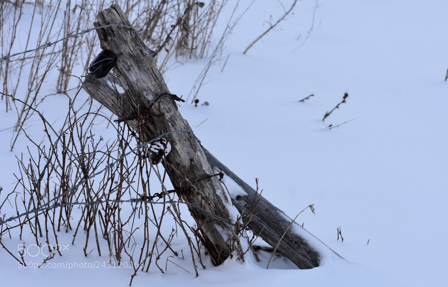 Nikon D3400 sample photo. Snow fence photography