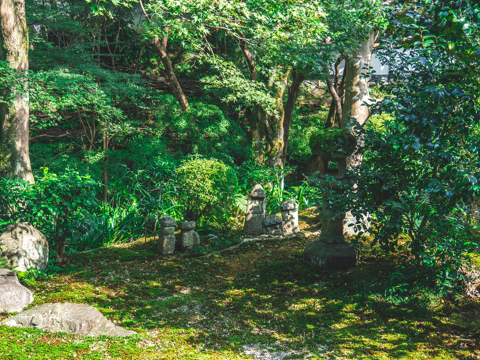 Olympus PEN-F sample photo. Untitled photography