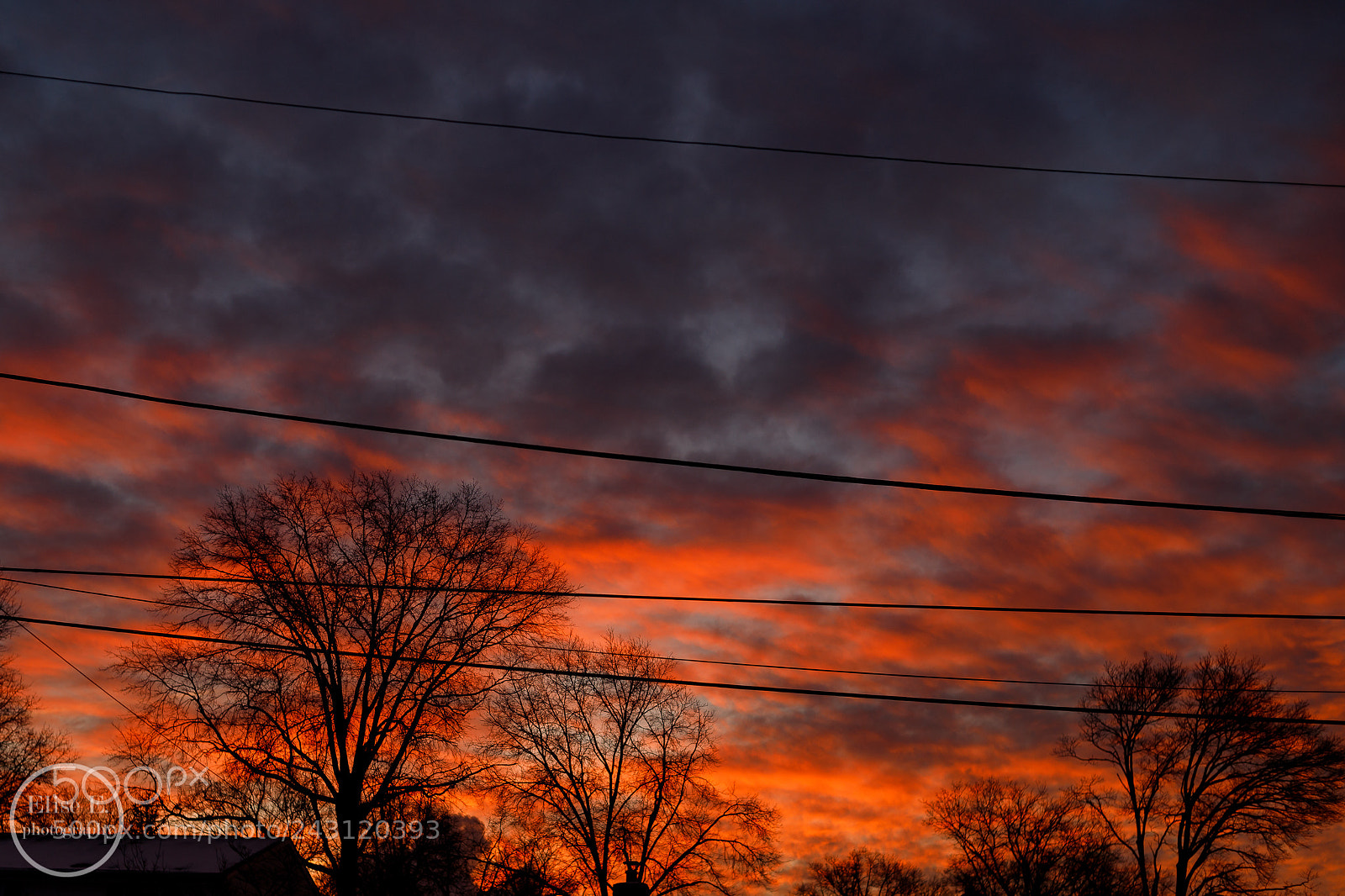 Canon EOS 6D Mark II sample photo. 7:12am photography