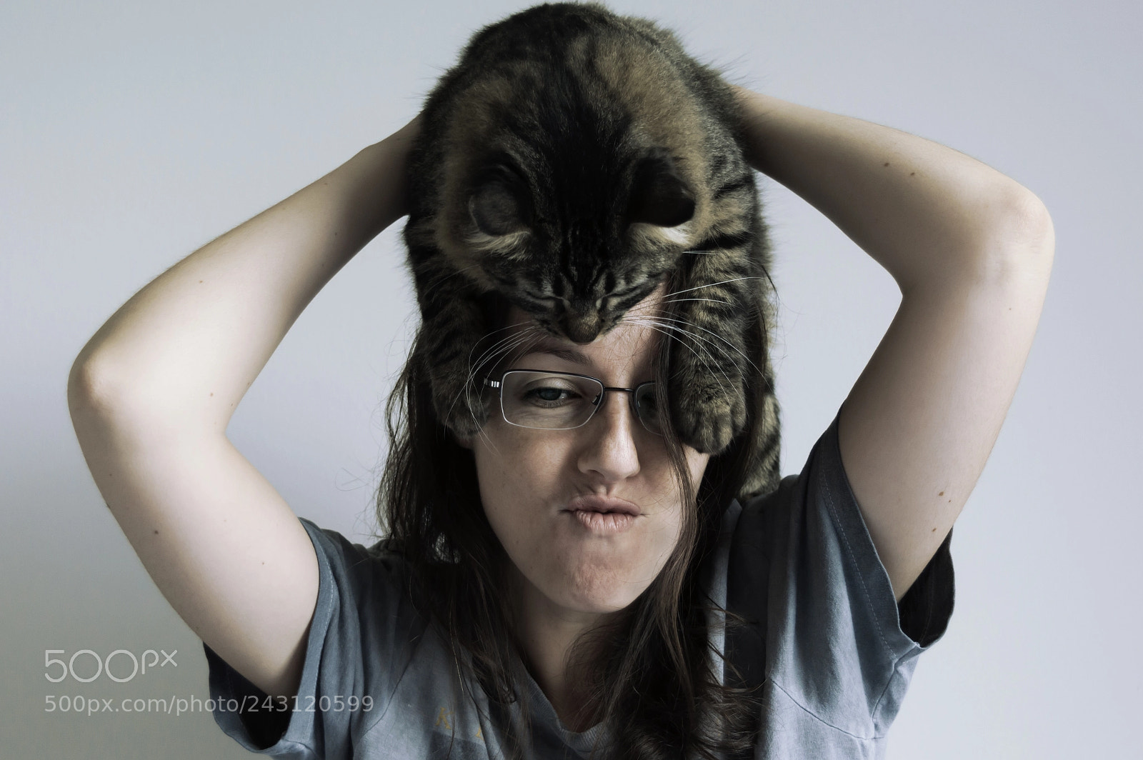 Nikon D3200 sample photo. Cat hat photography