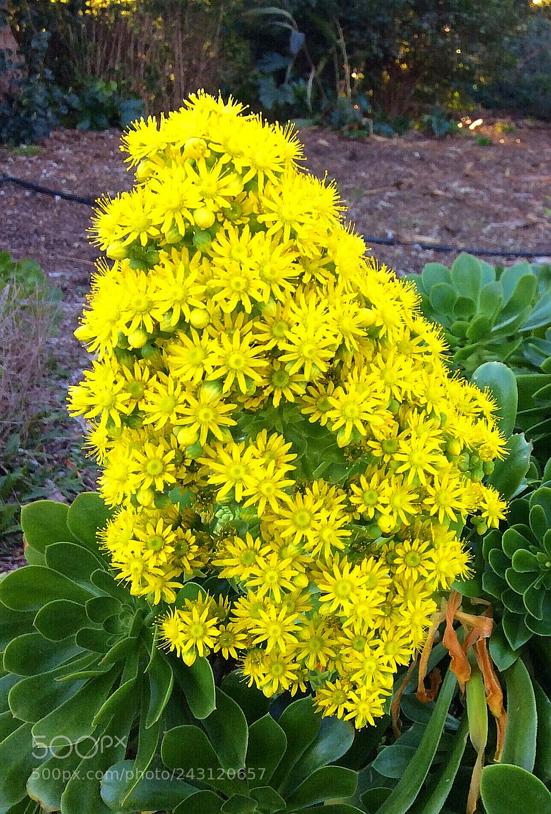 Apple iPad mini 2 sample photo. Untitled photography