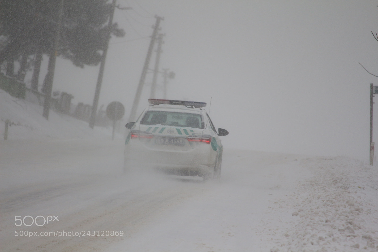 Canon EF-S 55-250mm F4-5.6 IS STM sample photo. Untitled photography