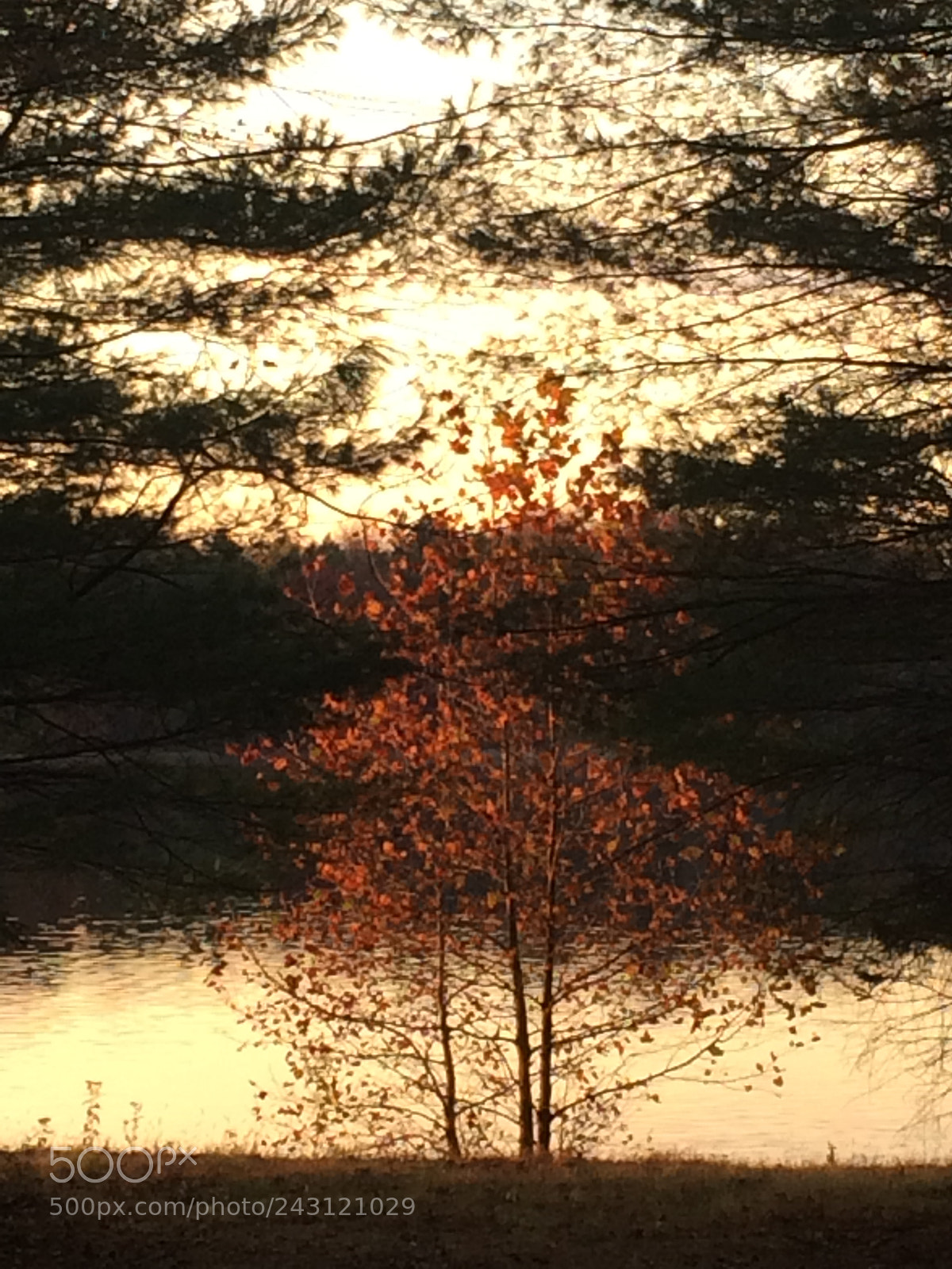 Apple iPhone 5s sample photo. Untitled photography