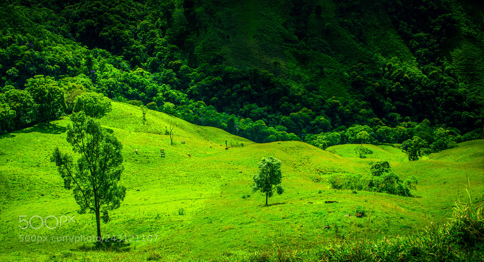 Nikon D800 sample photo. Mountain base photography