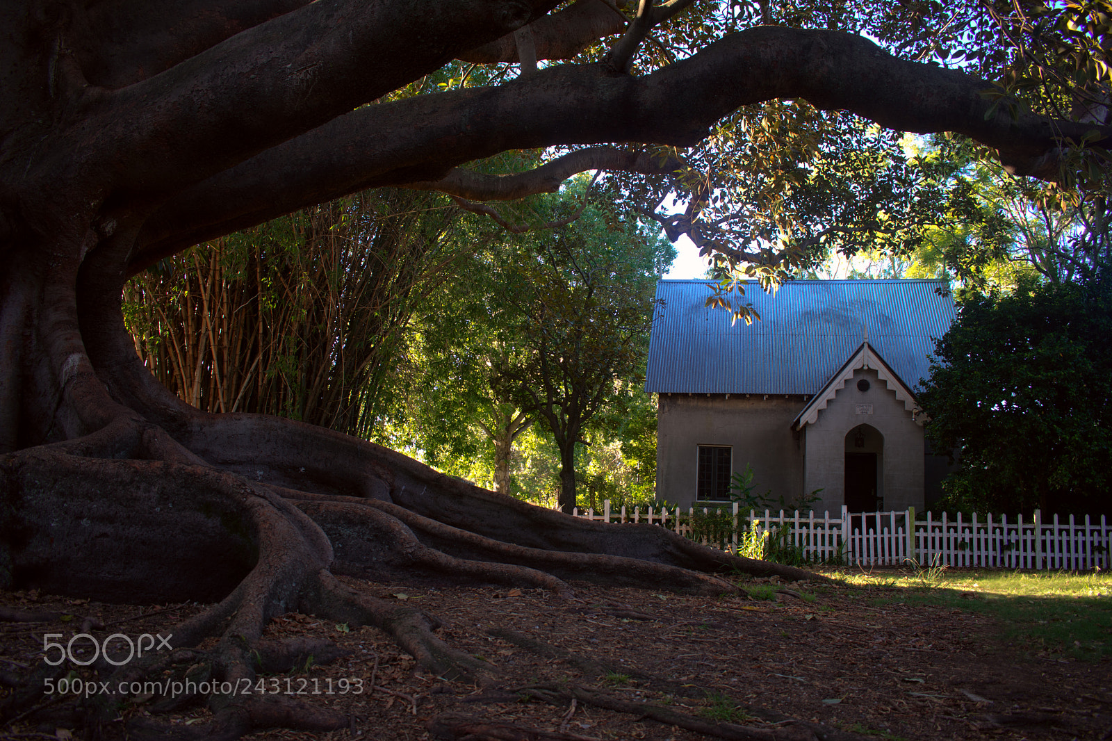 Nikon D3400 sample photo. Old churchyard photography