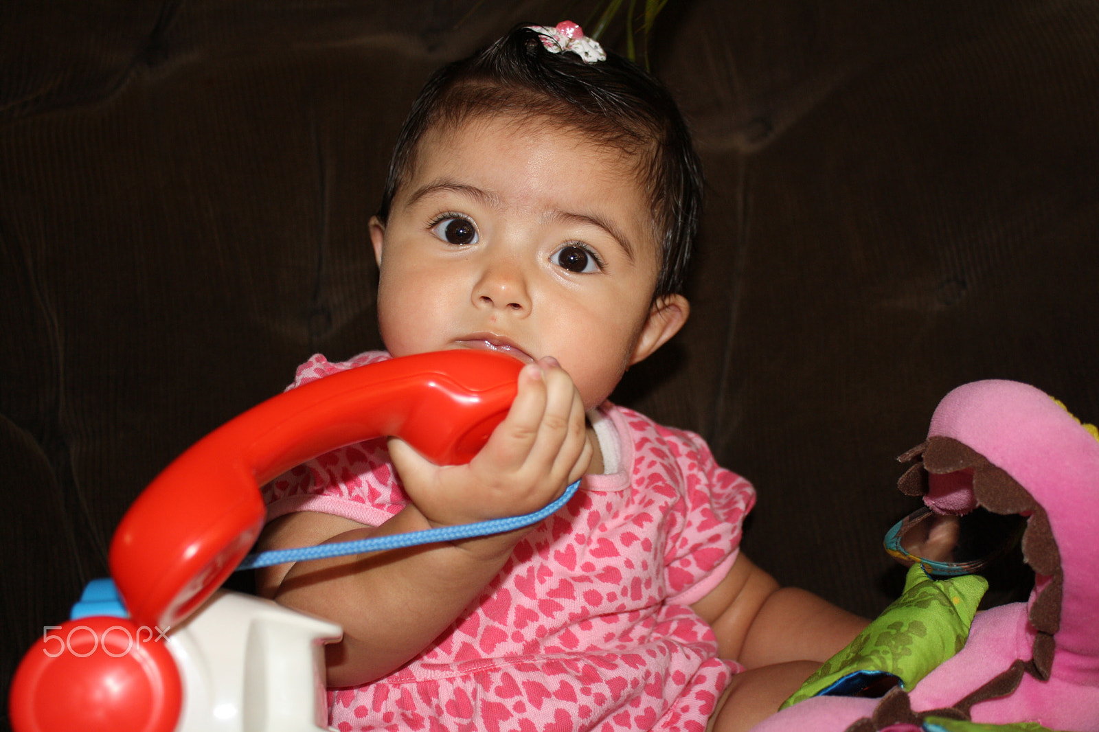 Canon EOS 1000D (EOS Digital Rebel XS / EOS Kiss F) sample photo. Buenasnoches <3 photography