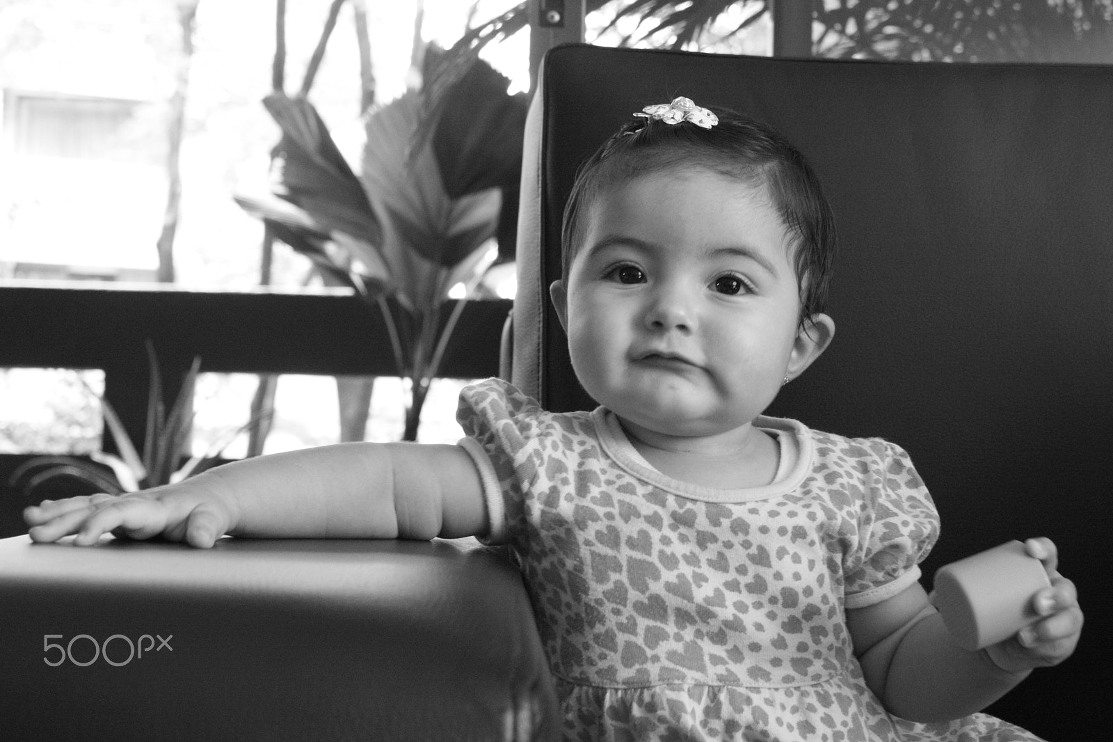 Canon EOS 1000D (EOS Digital Rebel XS / EOS Kiss F) sample photo. Pibita photography