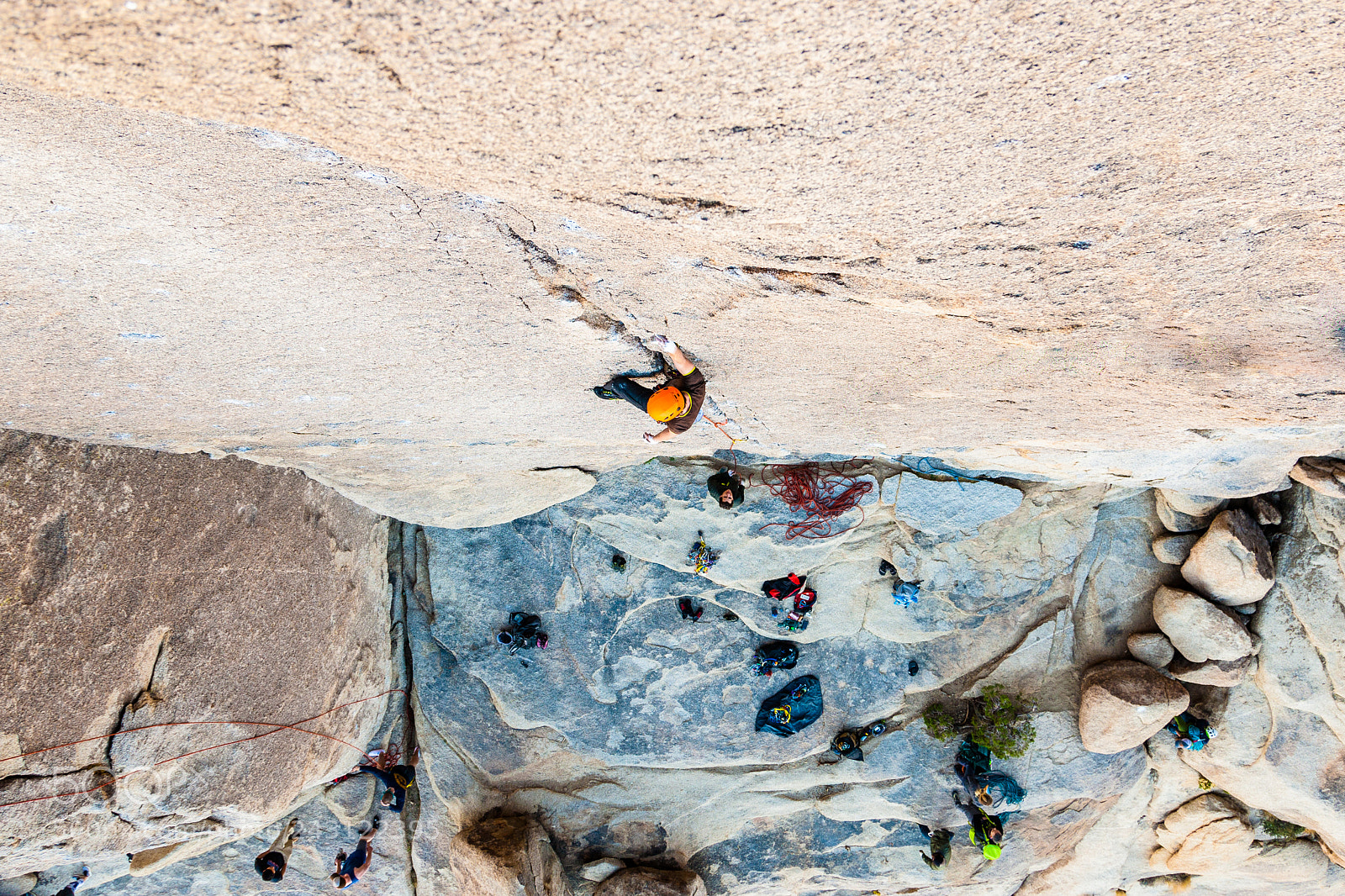 Canon EOS-1D Mark III sample photo. Bird of fire 5.10 photography