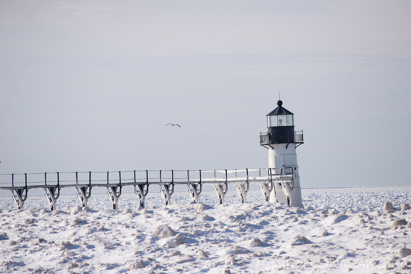 Nikon D610 sample photo. Silver beach photography