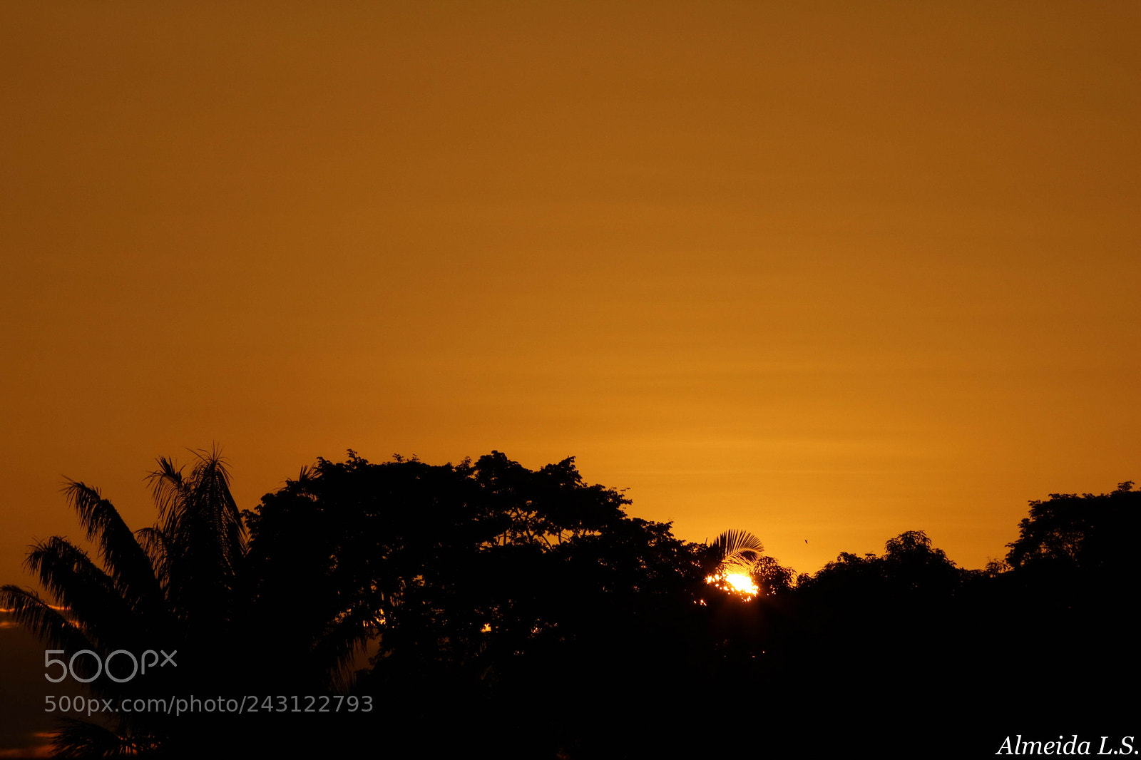 Canon EOS 750D (EOS Rebel T6i / EOS Kiss X8i) sample photo. A golden reward photography