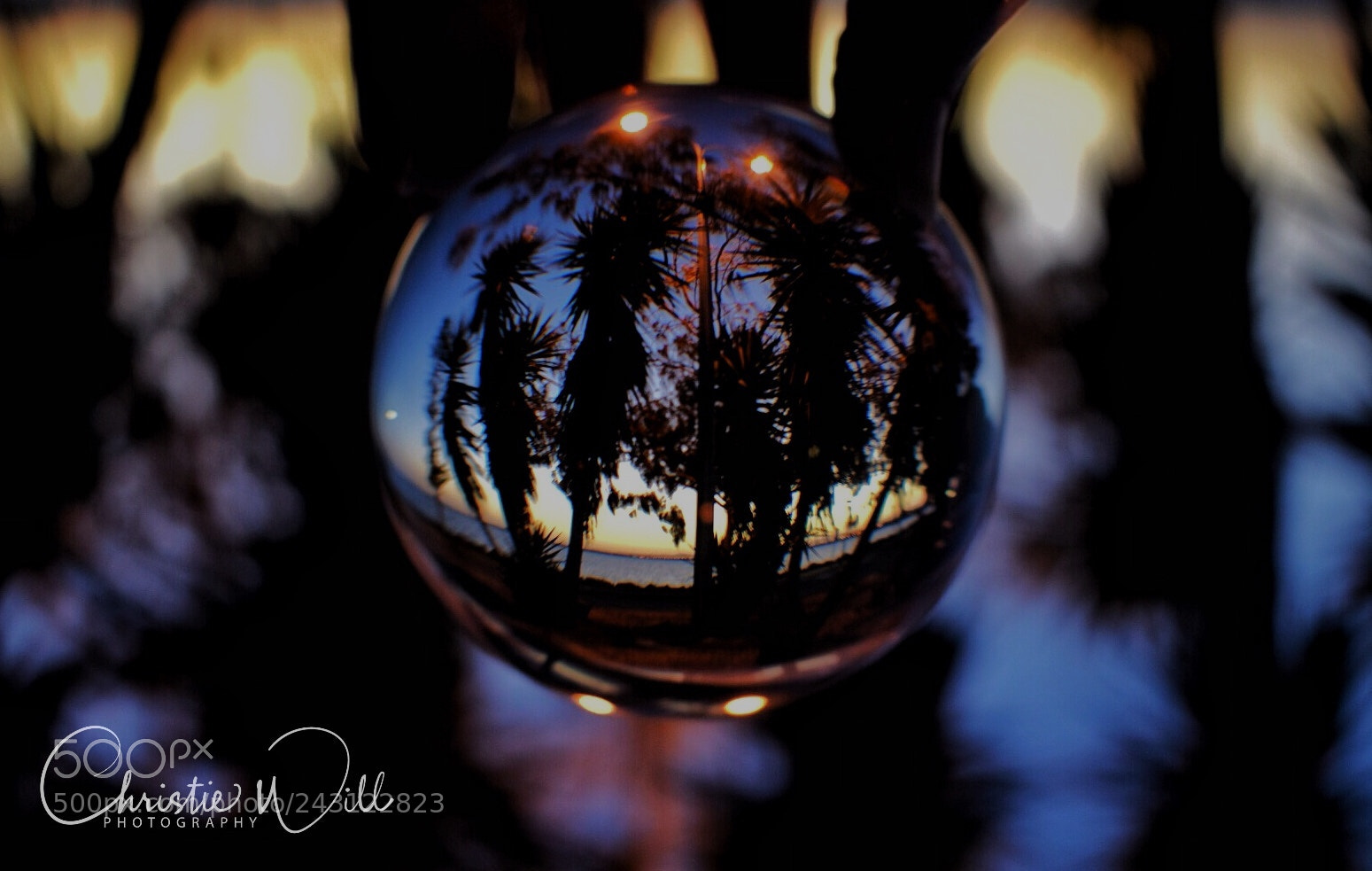 Nikon D5500 sample photo. Looking at the world photography