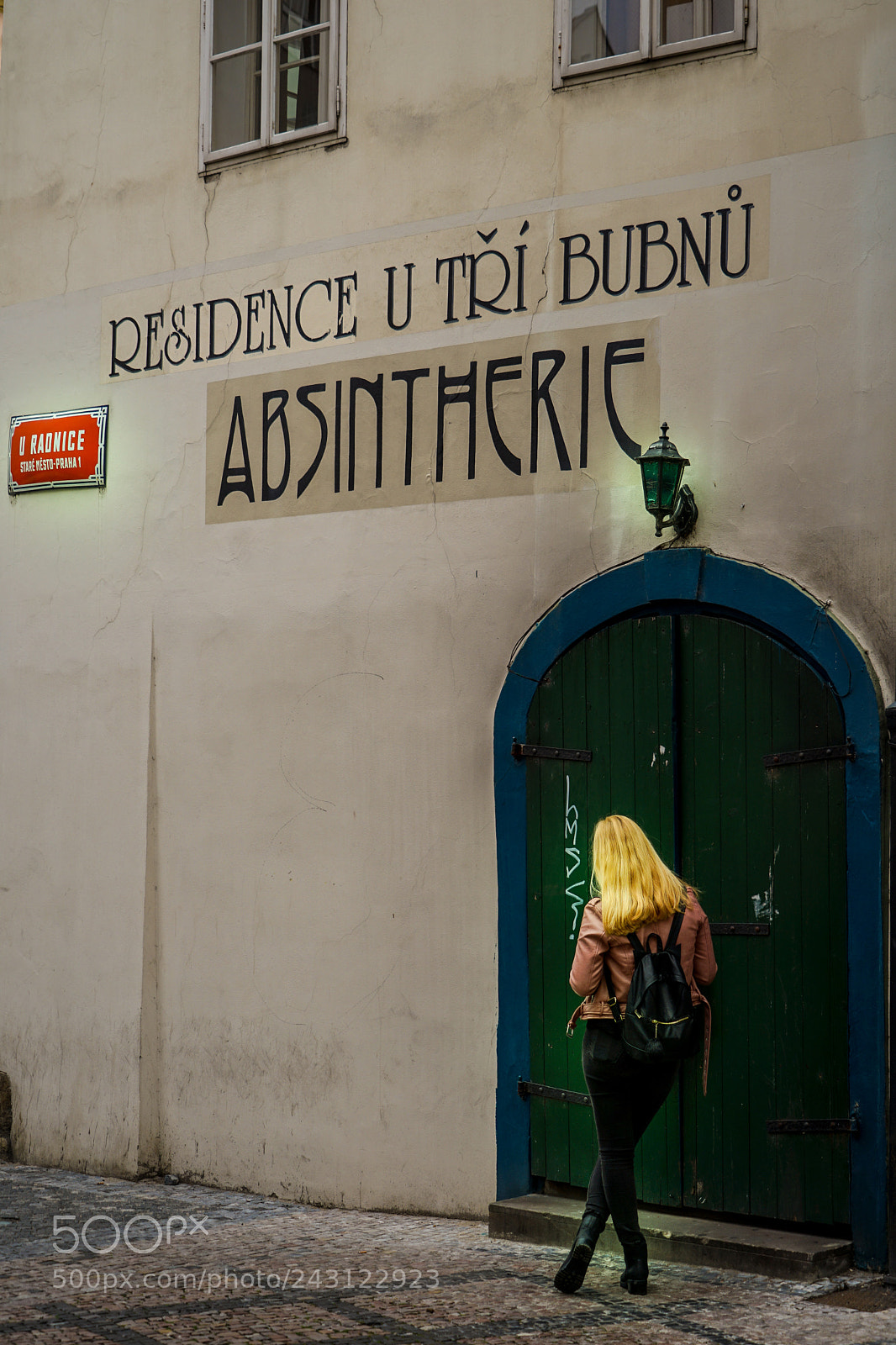 Sony a7 II sample photo. Absintherie photography